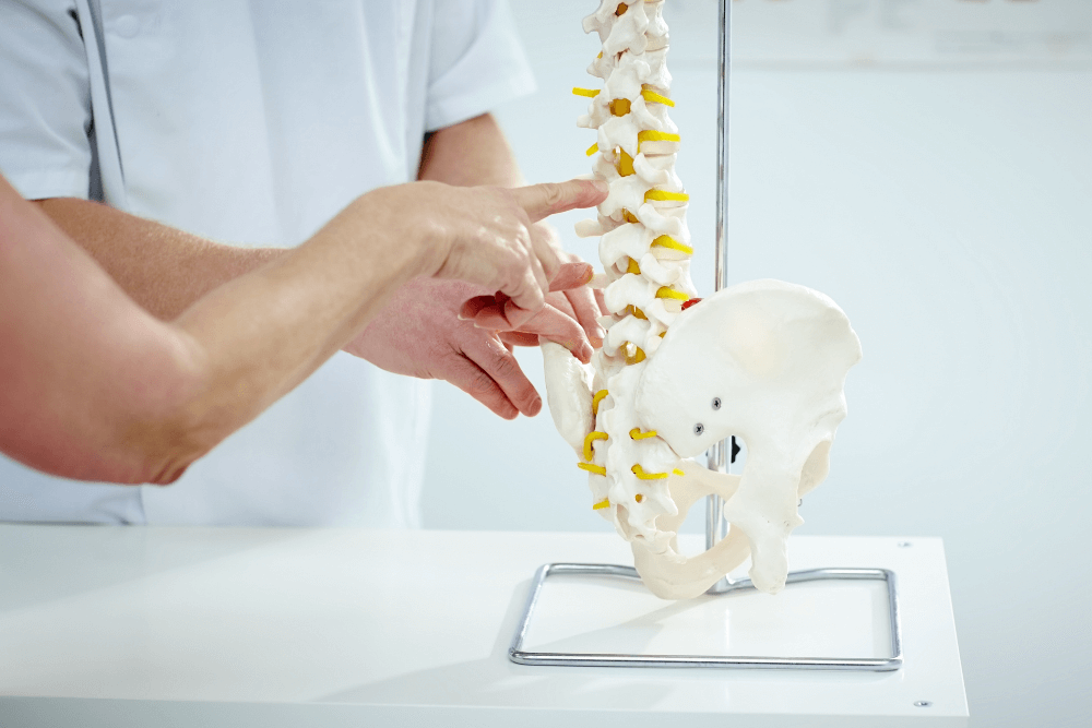 How Acupuncture Complements Chiropractic Adjustments for Faster Pain Relief and Energy Balance