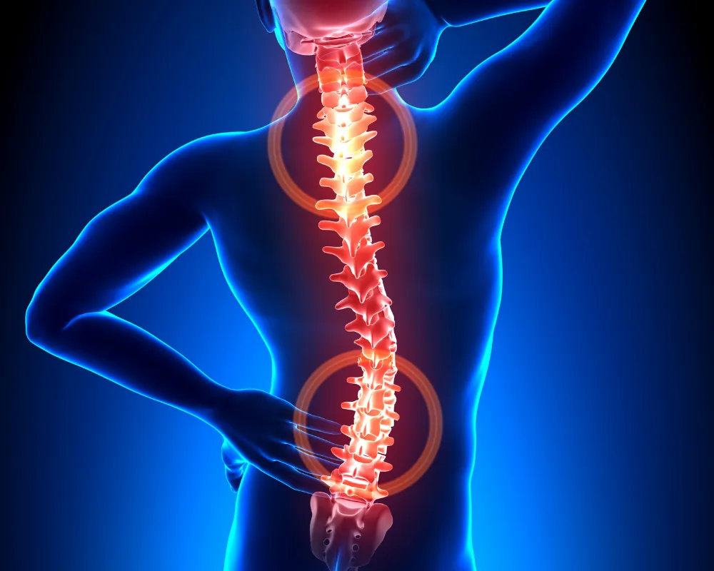 Musculoskeletal pain and stiffness care at Hunt Holistic Chiropractic in Lutz, FL